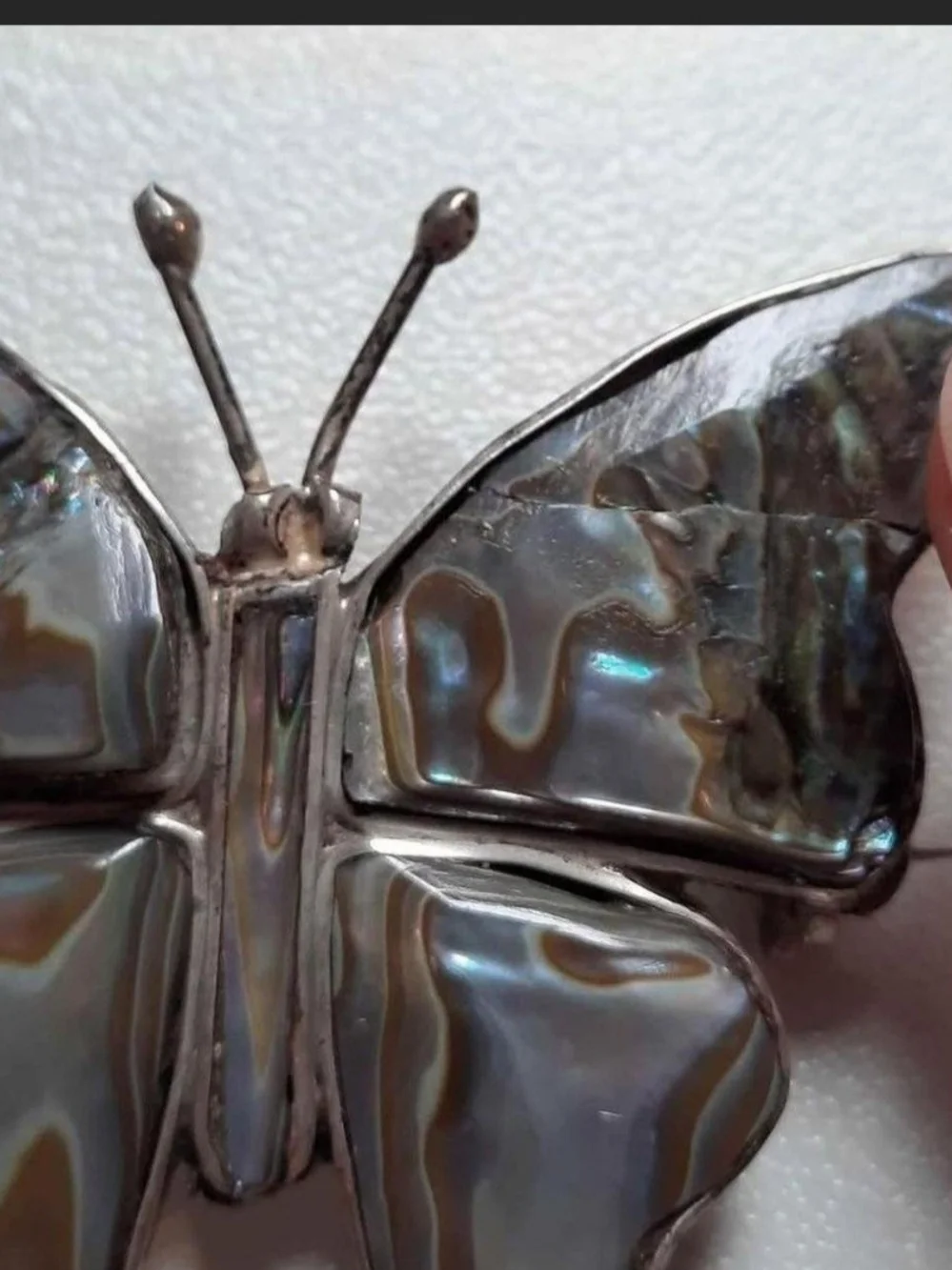 Vintage Butterfly Abalone Shell Brooch/pin in Iridescent Blue-Green